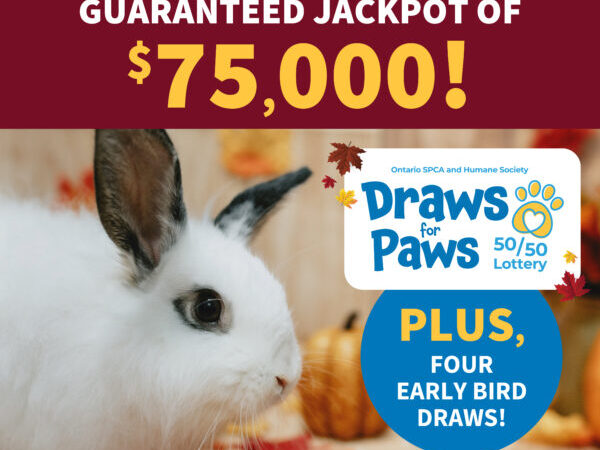 fall lottery