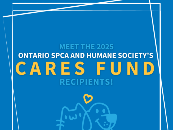 CARES Fund
