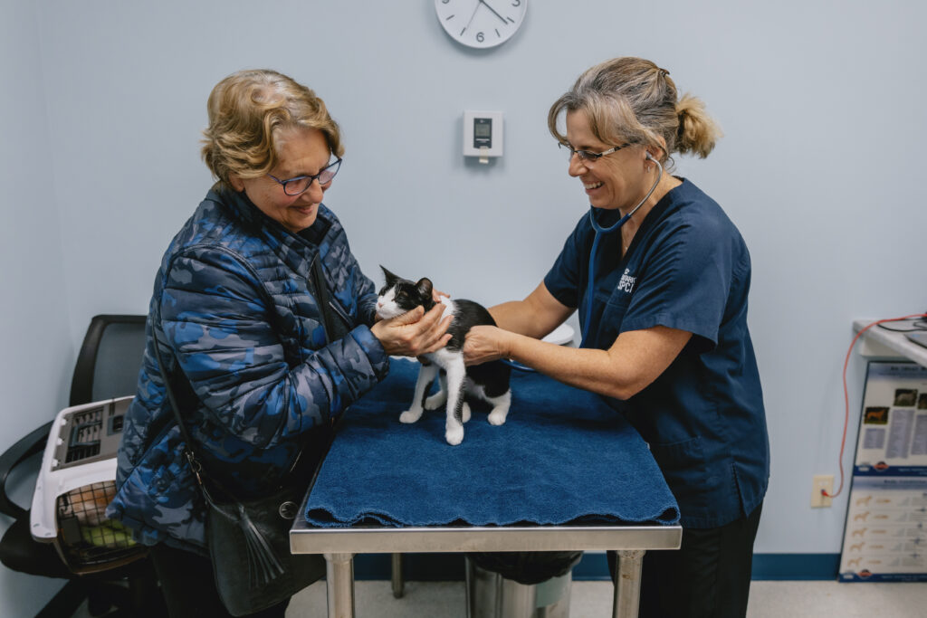 Two women, one in scrubs and a stethoscope, stand on either side of a exam table both holding a small black and white kitten and smiling.