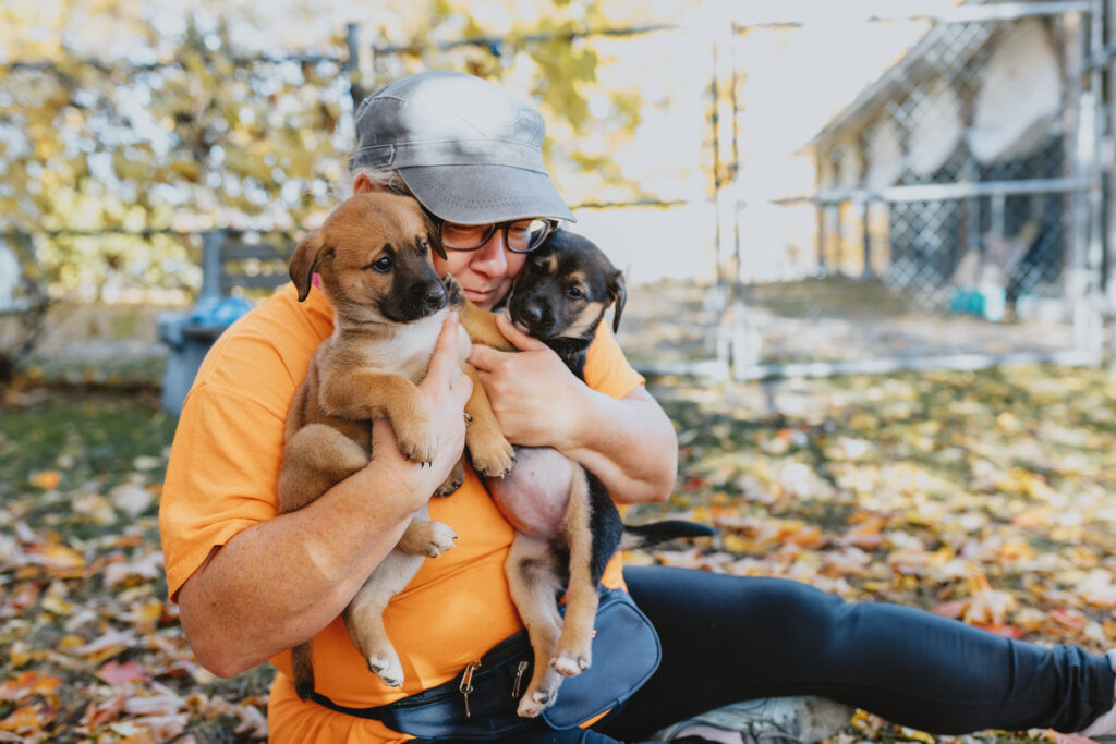 A Woman in an orange shirt sits outside on the grass, hugging two small puppies.