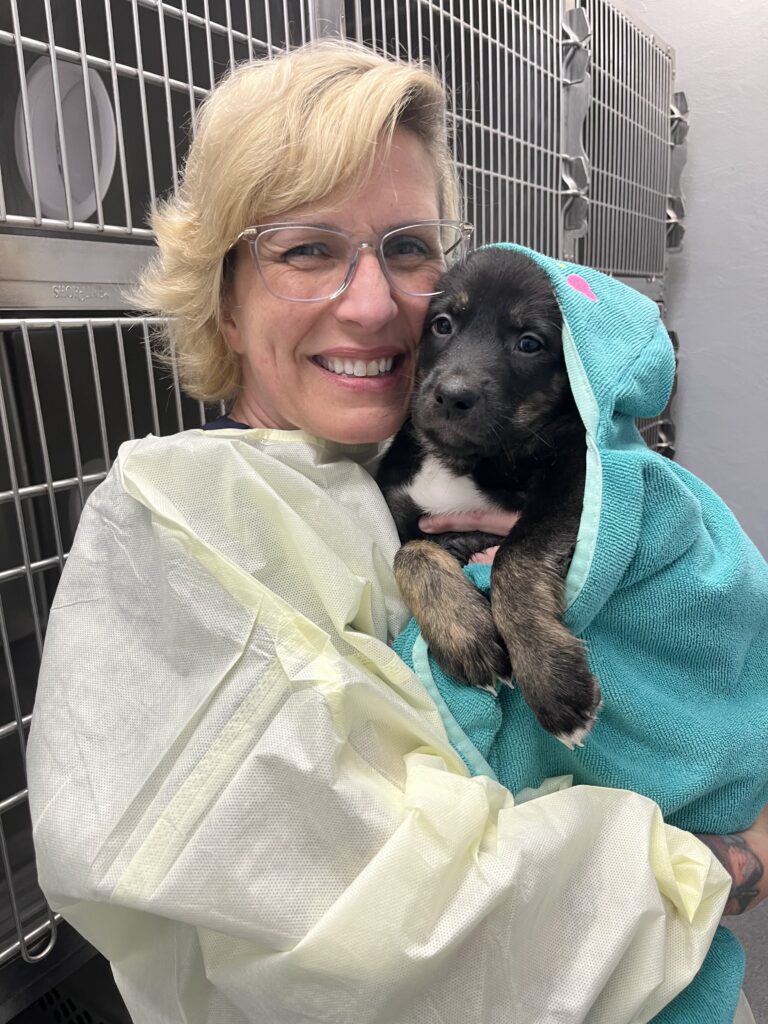 A woman wearing yellow PPE, holds a black puppy wrapped in a towel after a bath.