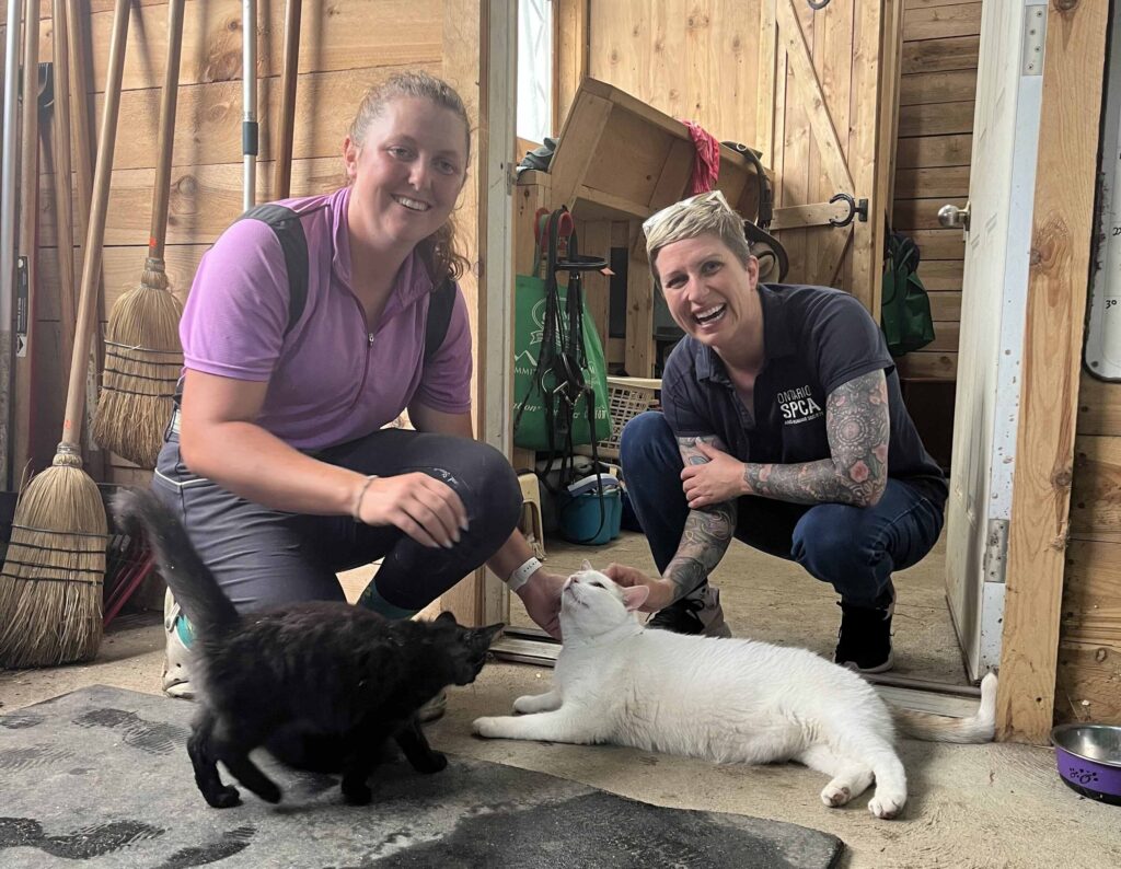 Two people inside a wooden barn petting a black cat and a white cat lying on the floor