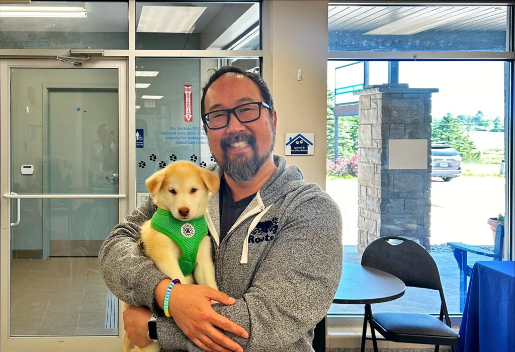 Smiling man holding a cream-colored puppy in a green harness inside an animal centre