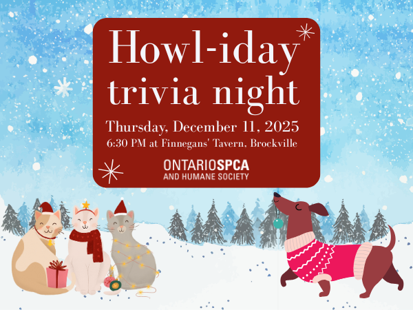trivia event details, holiday animal imagery