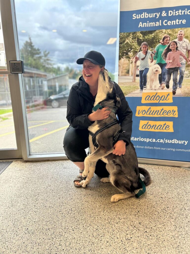 A woman crouches down indoors next to a tan and grey large dog, in front of a banner, the woman is smiling while the dog licks her ear.