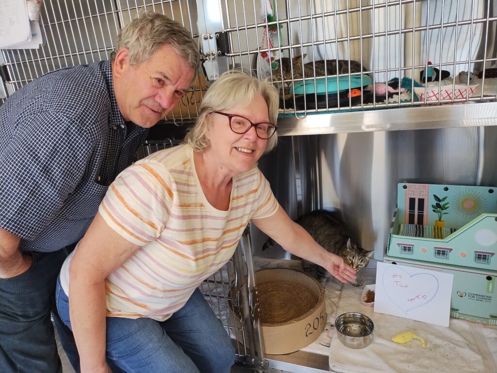 Smiling older couple crouches beside a kennel at an animal centre, as the woman reaches in to pet a tabby cat lying near one of our cat cabins.