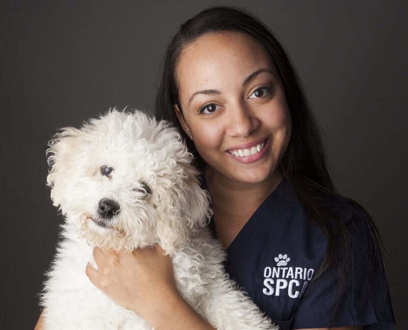 Smiling woman in Ontario SPCA uniform holding a fluffy white dog