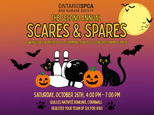 event image with bowling, pumpkin and cat cartoons