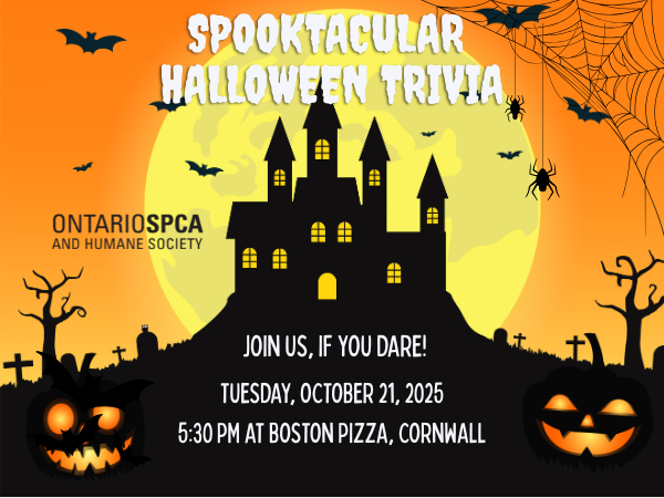 trivia event details, halloween imagery