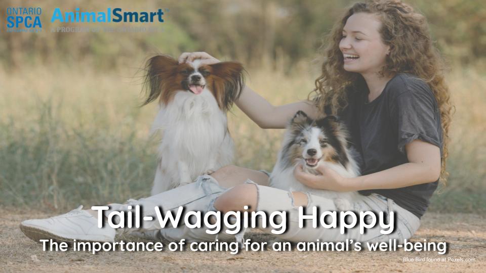 A woman sits outside on the ground with two small dogs looking at and smiling at the camera.