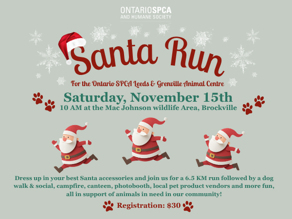 event image with cartoon running santas, paw prints and snowflakes