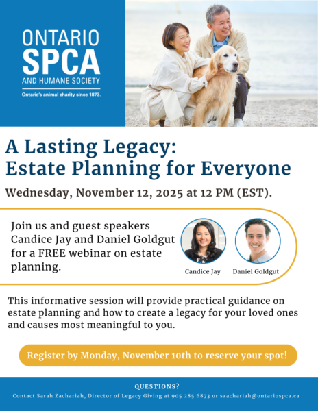 senior couple with dog legacy banner