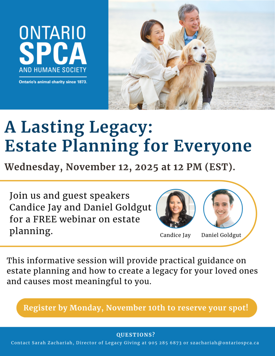 senior couple with dog legacy banner