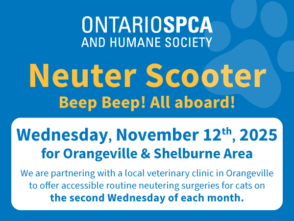 orangeville netuer scooter