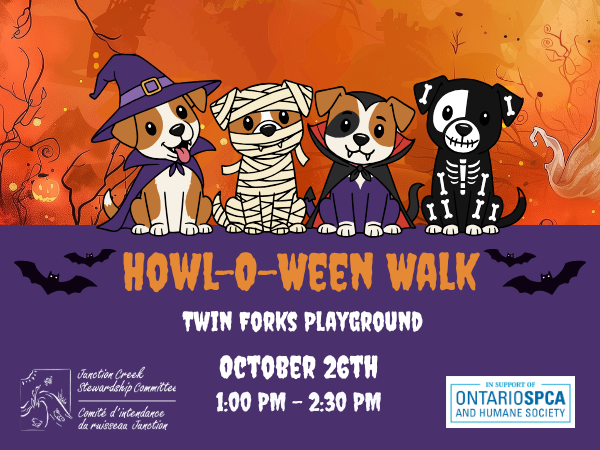 event image with cartoon pets in halloween costumes