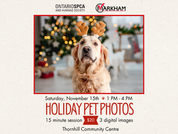 event image with event details and dog with reindeer antlers