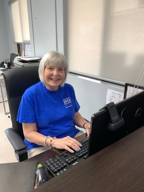 A woman wearing a blue shirt is seated at a desk, working on her computer.