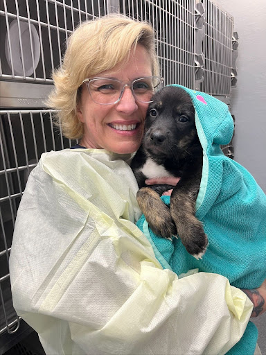 A veterinary team member smiling while holding a young puppy wrapped in a teal towel inside an animal care facility.