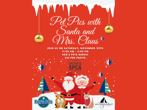 santa and mrs clause with pets