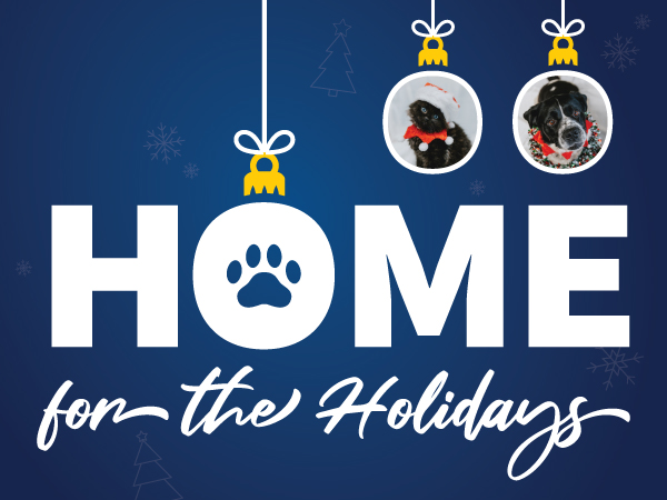 Home for the Holidays graphic with two hanging pet ornaments above large text on a blue background with snowflakes and holiday icons.