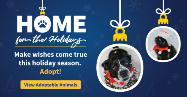 Home for the Holidays adoption promo featuring holiday ornament photos of two pets and the message “Make wishes come true this holiday season. Adopt!”
