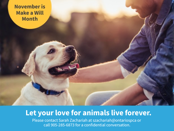 man petting a dog leae a legacy