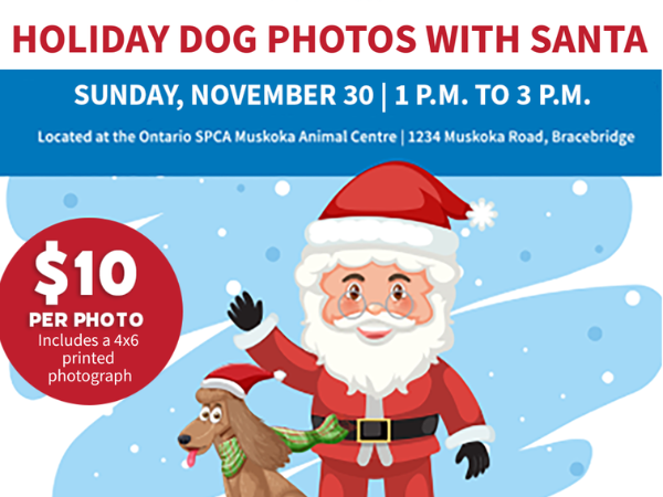 cartoon santa and dog