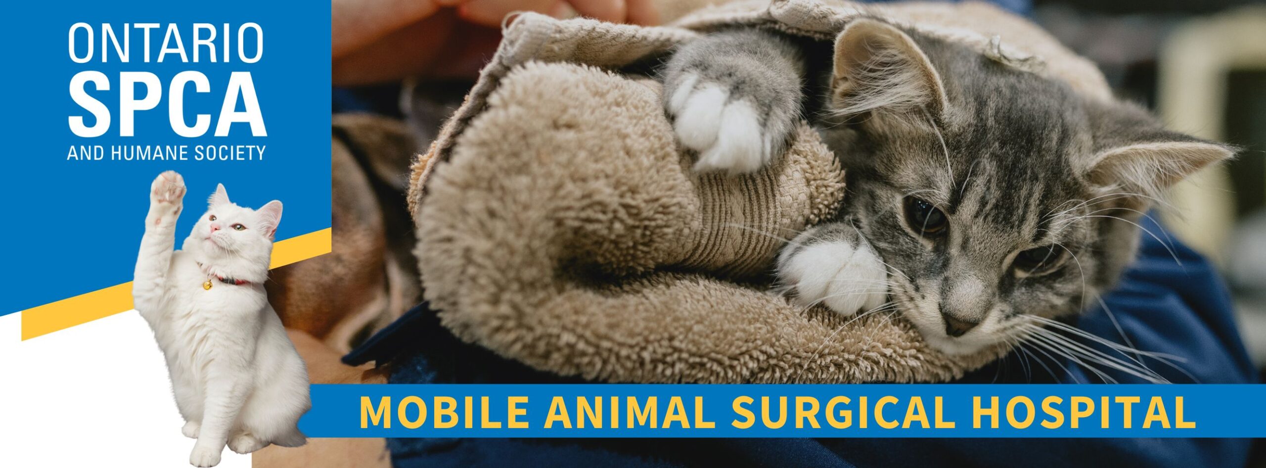 Ontario SPCA and Humane Society Mobile Animal Surgical Hospital banner featuring a cat wrapped in a towel.
