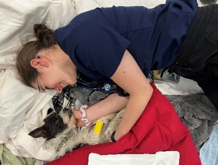 Veterinary team member lying beside a small dog recovering from surgery, offering comfort and care.