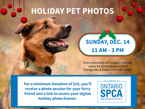Event banner for Holiday Pet Photos fundraising event. It features a dog in the center, red holiday ornaments hanging from the top, and blue snowflakes. Text states the event is on Sunday, Dec. 14, 11 AM - 3 PM. A minimum $20 donation includes a photo session and digital frames, with proceeds supporting the Ontario SPCA Orangeville & District Animal Centre.