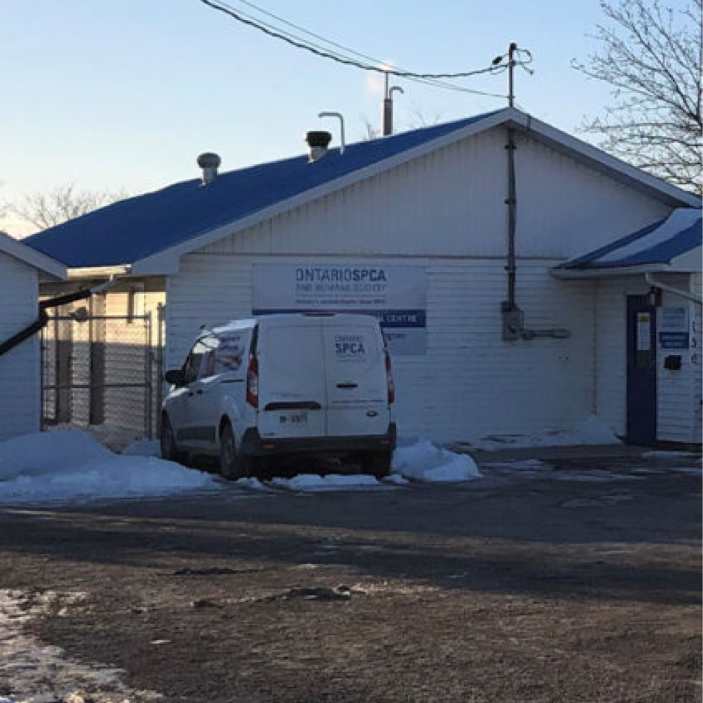 Ontario SPCA and Humane Society building with a white SPCA van parked outside in winter.