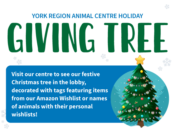 Holiday event graphic for the York Region Animal Centre’s Giving Tree, featuring a decorated Christmas tree and text inviting visitors to view tags with wishlist items for animals in care.