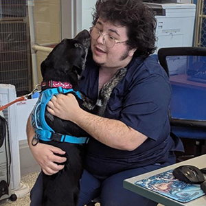Shelter worker sitting at a desk receiving affectionate hugs from a black dog wearing a blue harness.
