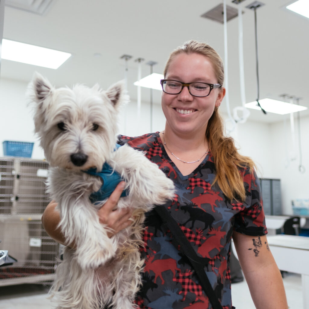A smiling veterinary staff member holding a small white dog in a clinic setting.