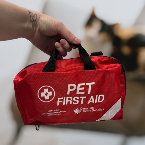 Hand holding a red pet first aid kit with a cat blurred in the background