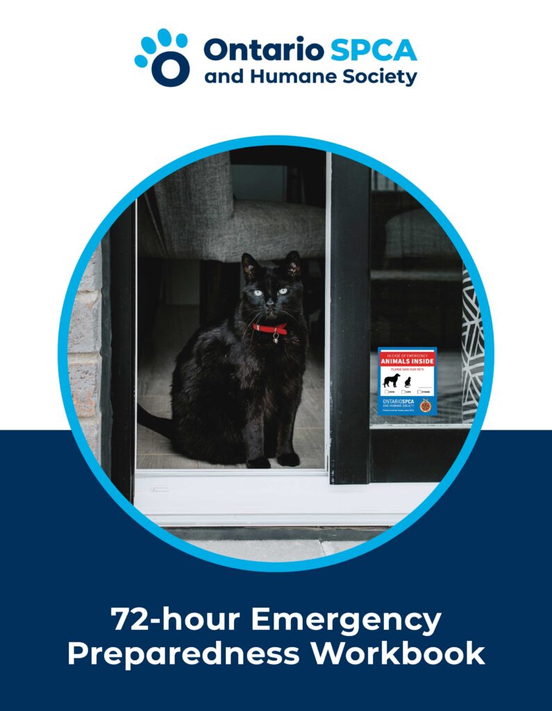 Ontario SPCA and Humane Society 72-hour Emergency Preparedness Workbook cover featuring a black cat sitting in a doorway with an “Animals Inside” window sticker