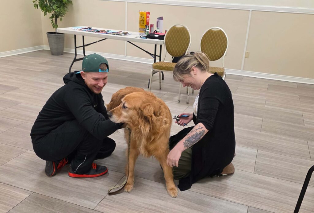 Golden retriever having its nails cut