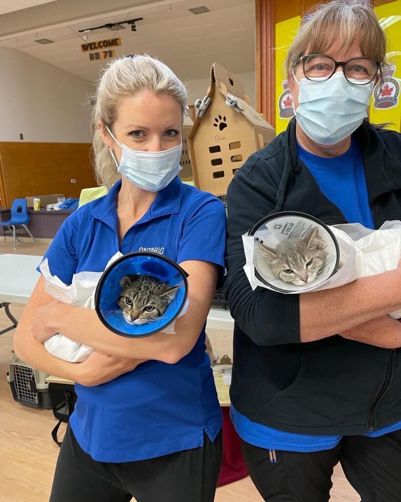 Two women holding cats