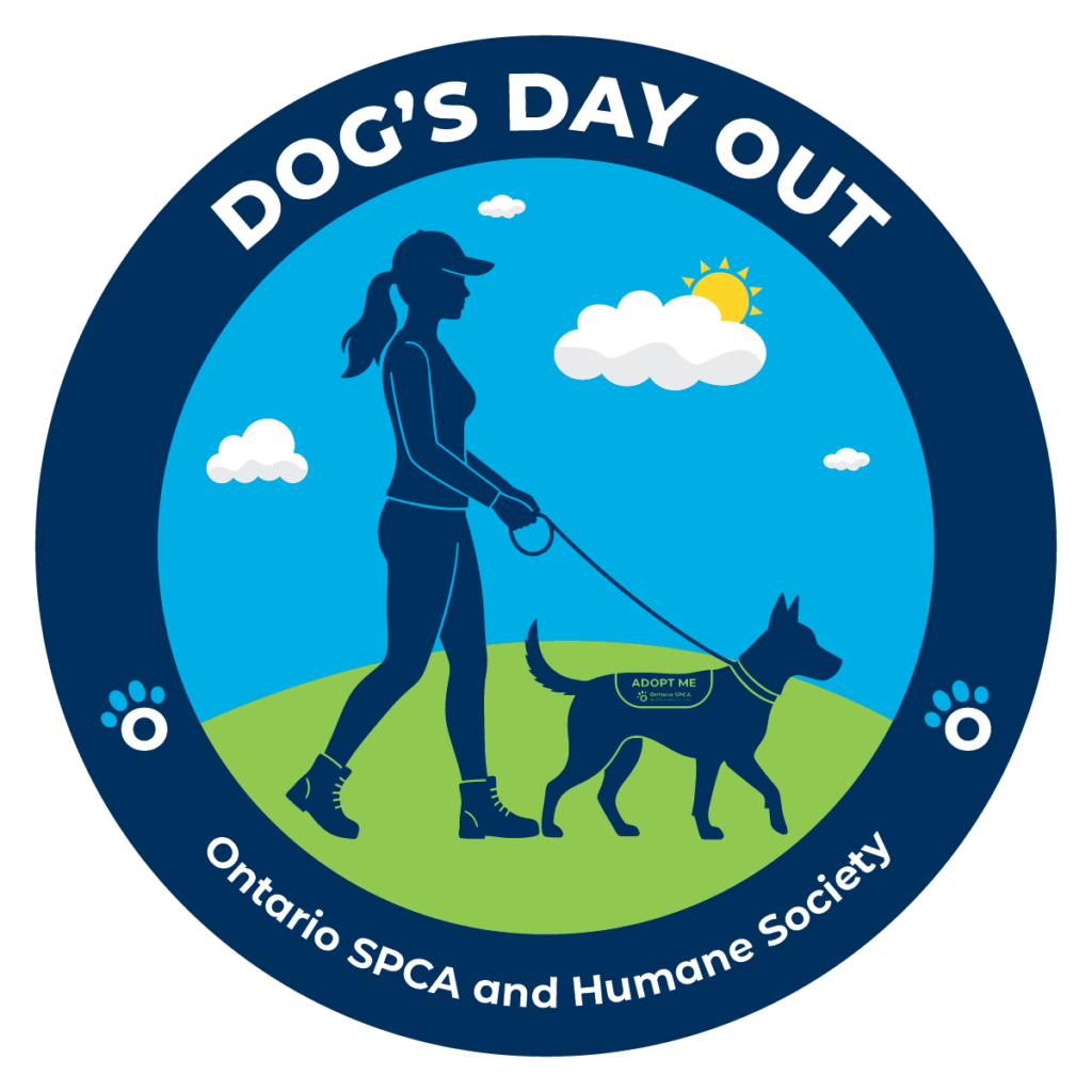 DDO logo