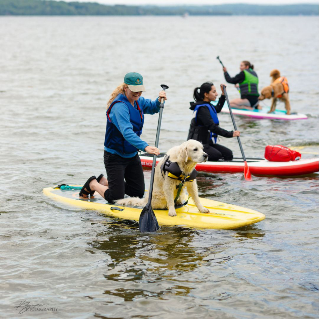 women and dogs wearing life jackets riding on paddle boards on a lake