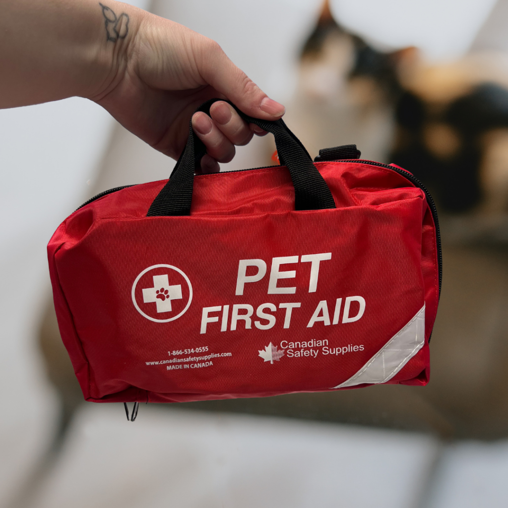 Hand holding a red pet first aid kit with a cat blurred in the background