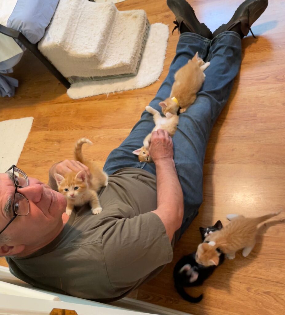 Man in home playing with orange kittens