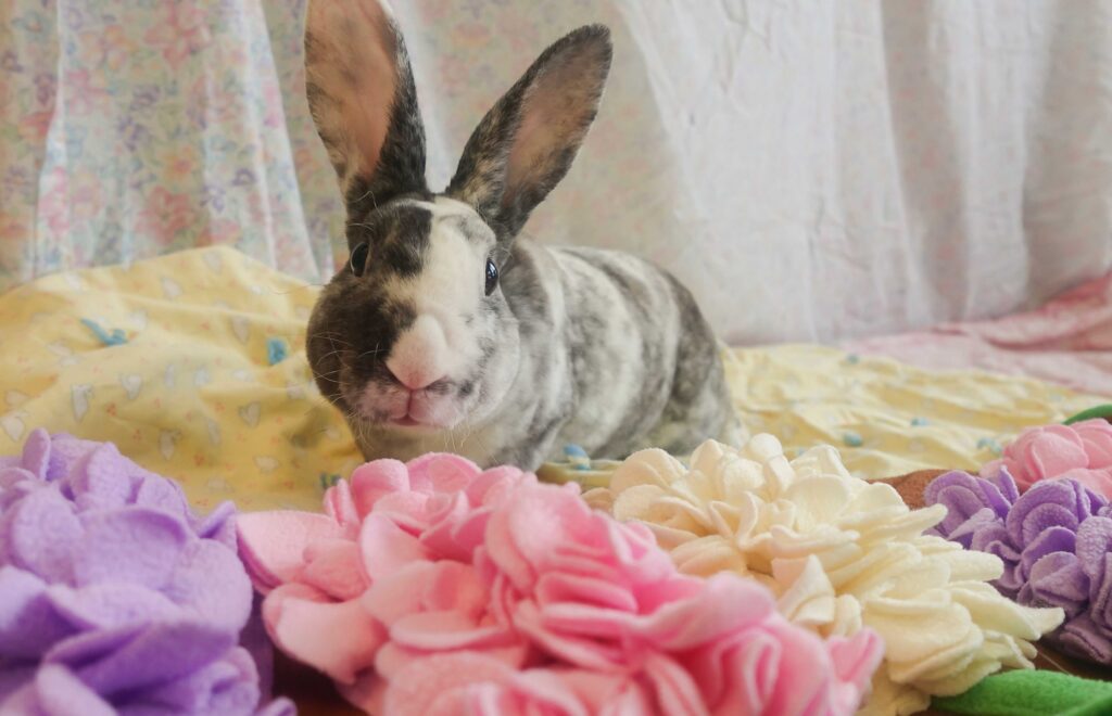 Close-up of a grey and white rabbit with upright ears, sitting on a soft surface surrounded by pastel-coloured fabric flowers