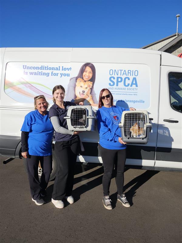 Women carrying cats in carriers 