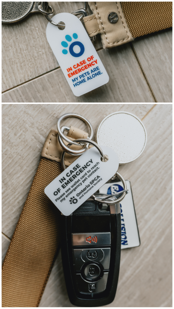 Ontario SPCA and Humane Society pet alert keychain tag on car keys reading “In Case of Emergency My Pets Are Home Alone