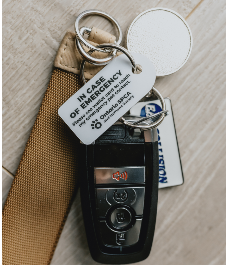 Ontario SPCA and Humane Society pet alert keychain tag on car keys reading “In Case of Emergency My Pets Are Home Alone