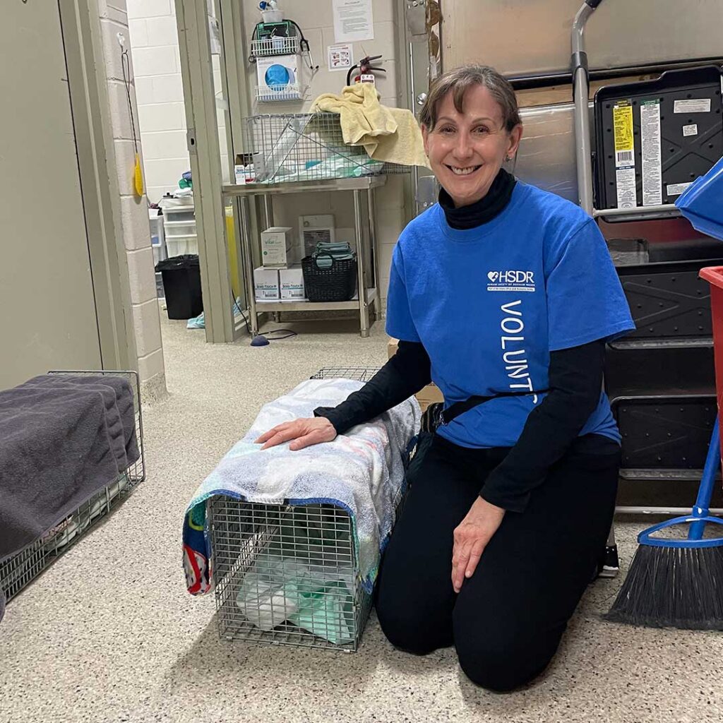 Ontario SPCA and Humane Society volunteer kneeling beside a covered animal carrier in a clinic setting