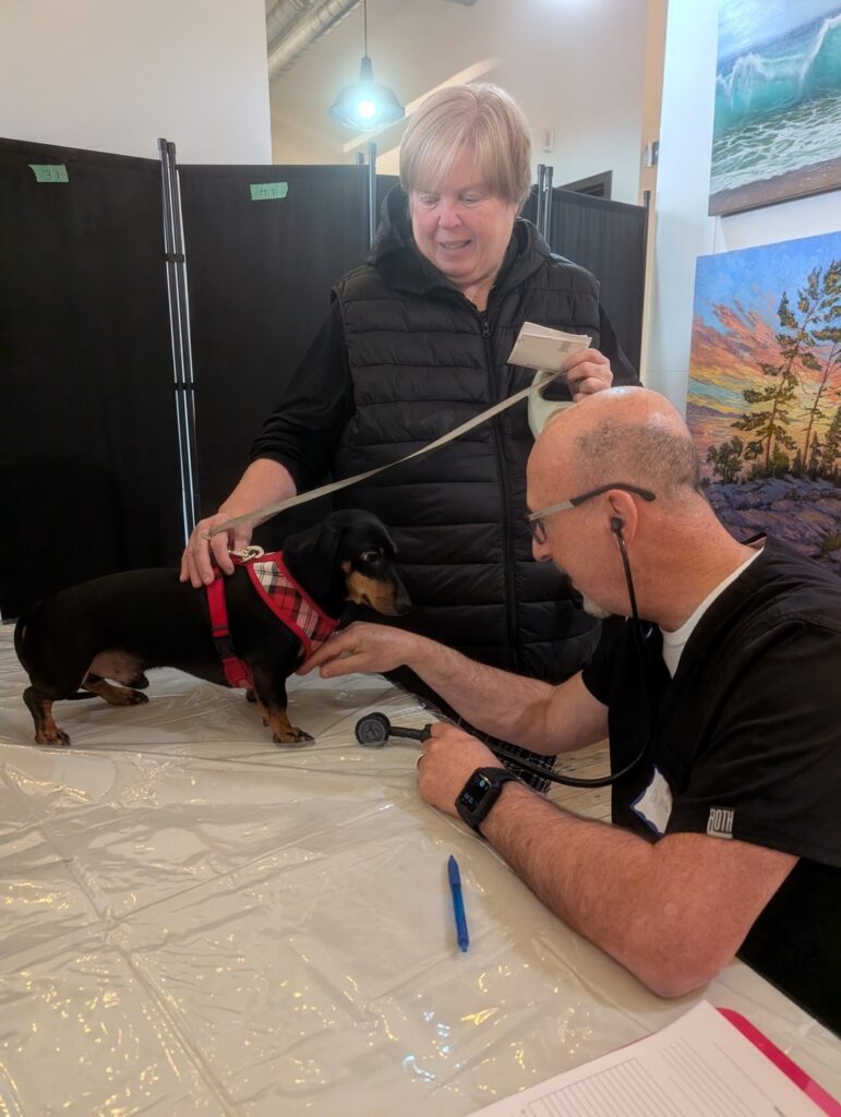 Veterinarian examining a small dog on a table while a pet owner holds the leash in a clinic setting