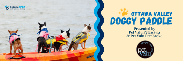 banner image of 4 dogs in lifejackets standing on paddle board on a lake with event text and sponsor details