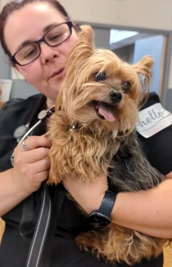 woman holding hairy dog